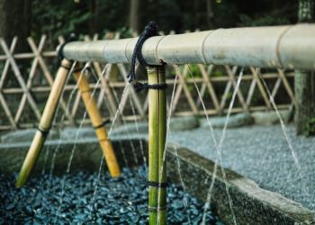 Bamboo Art