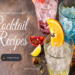 Top 5 amazing cocktails for House Party